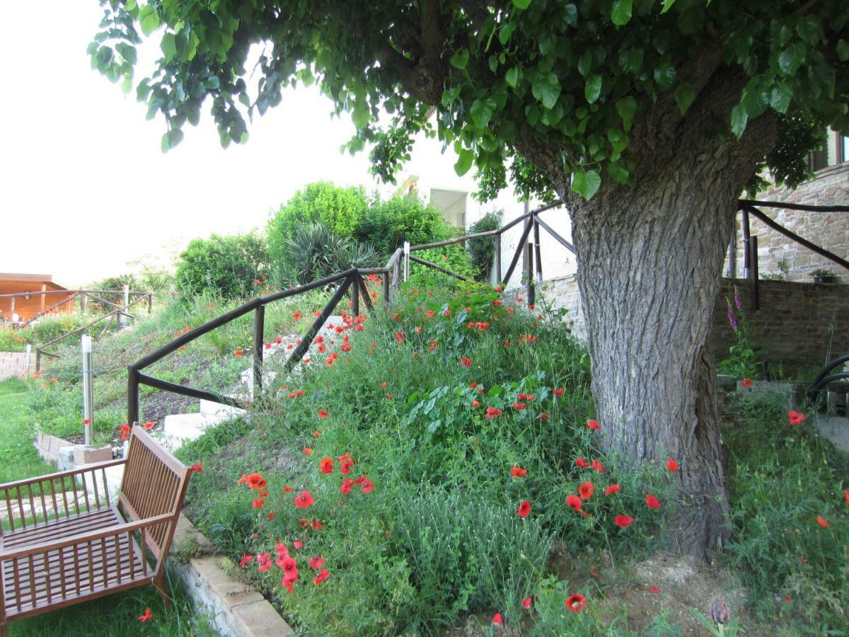 Apartamento Casa Dei Sogni D'Oro San Pietro  Exterior foto